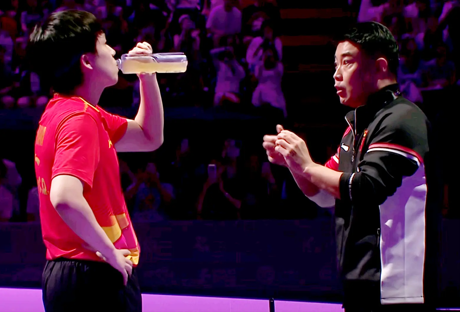 WTT横滨, 随即与王楚