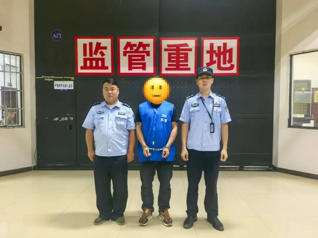 img, https, 外精准锁定